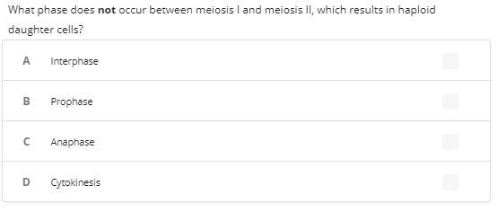 What phase does not occur between meiosis I and meiosis II, which results in haploid-example-1