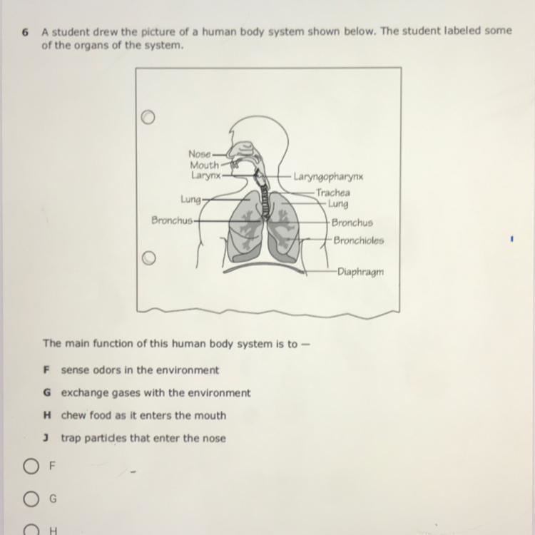 6 A student drew the picture of a human body system shown below. The student labeled-example-1