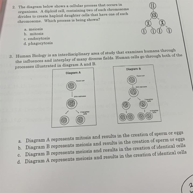 Biolofy help questions help pls.-example-1