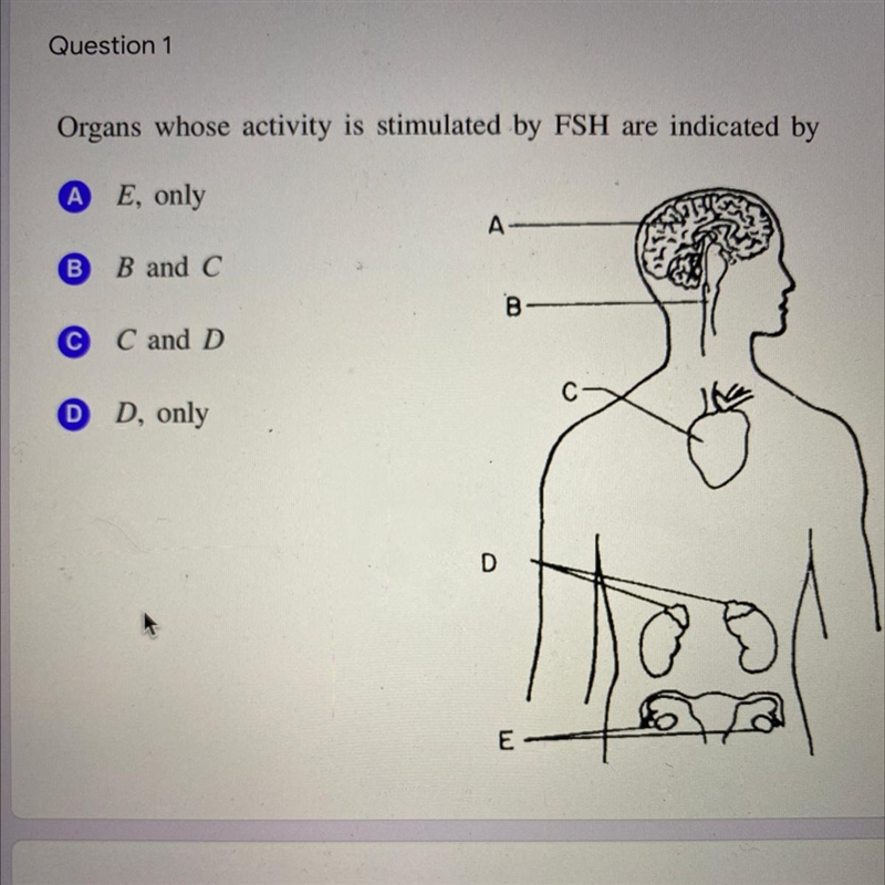 HELP! BIOLOGY PLEASE!!!-example-1