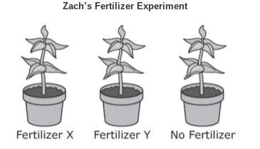 Zach is conducting an experiment to observe which type of fertilizer will allow a-example-1