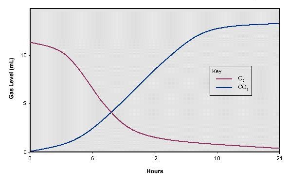 Honors Biology help please study the graph. Which statement below best describes what-example-1