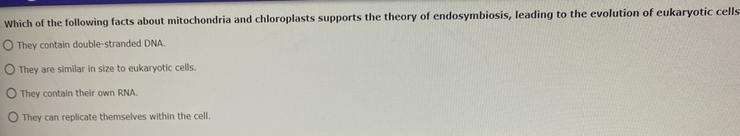 A. They contain double-stranded DNA B. They are similar in size to eukaryotic cells-example-1