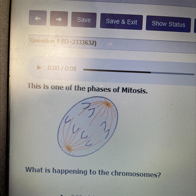 This is one of the phases of Mitosis. P 7 Vuv w What is happening to the chromosomes-example-1