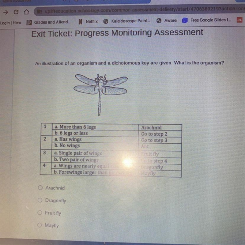 An illustration of an organism and a dichotomous key are given. What is the organism-example-1