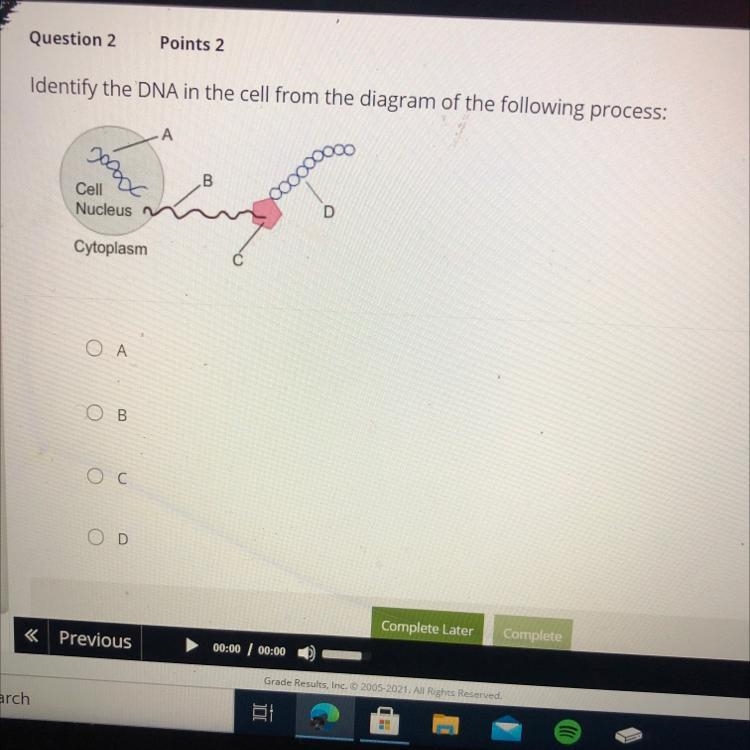 Identify the DNA in the cell from the diagram of the following process Α. В C B-example-1