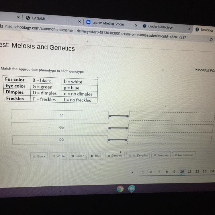 Can somebody pls help me-example-1