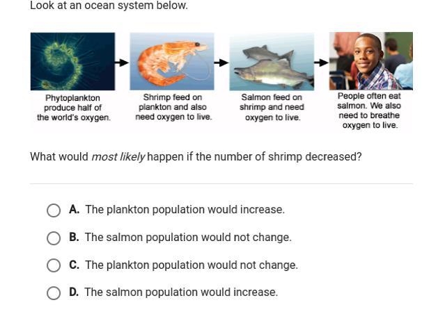 What would most likely happen if the number of shrimp decreased-example-1