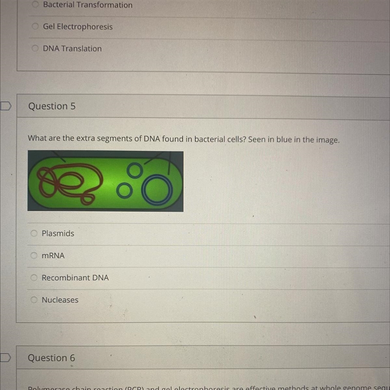 What are the extra segments of DNA found in bacterial cells?-example-1