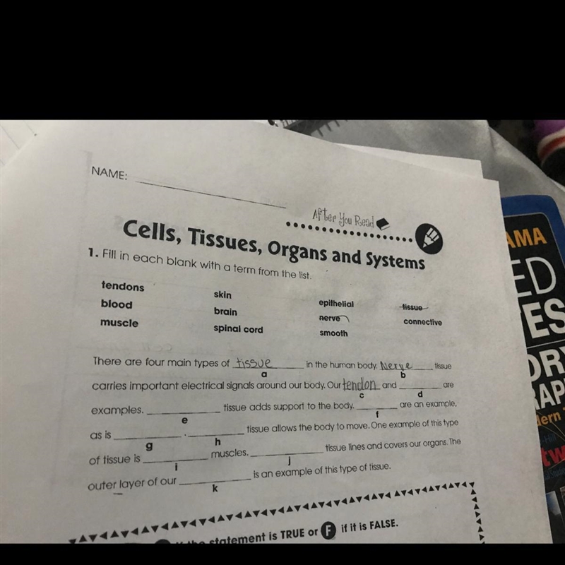 Connective tissue are expamles of???-example-1