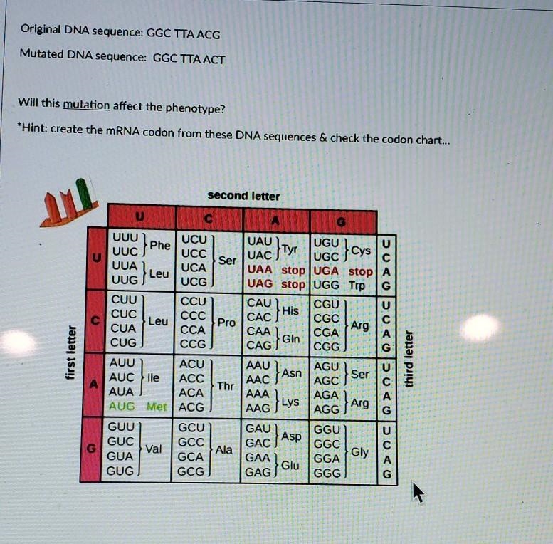 A) Yes,because the amino acid changed. B) Yes,because every mutation changes the amino-example-1