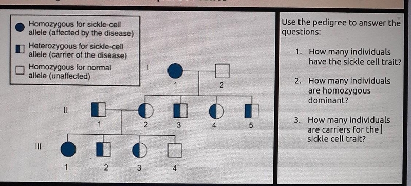 How many individuals are ..​-example-1