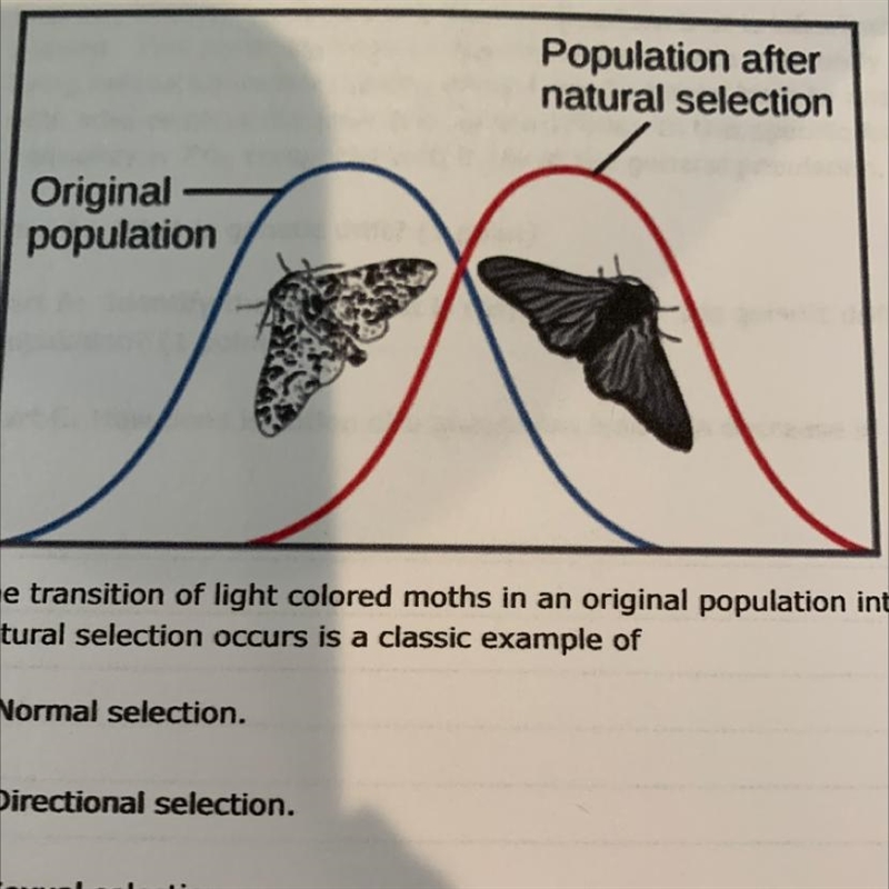 Pacyber.Ims.linc Population after natural selection Original population 21. The transition-example-1