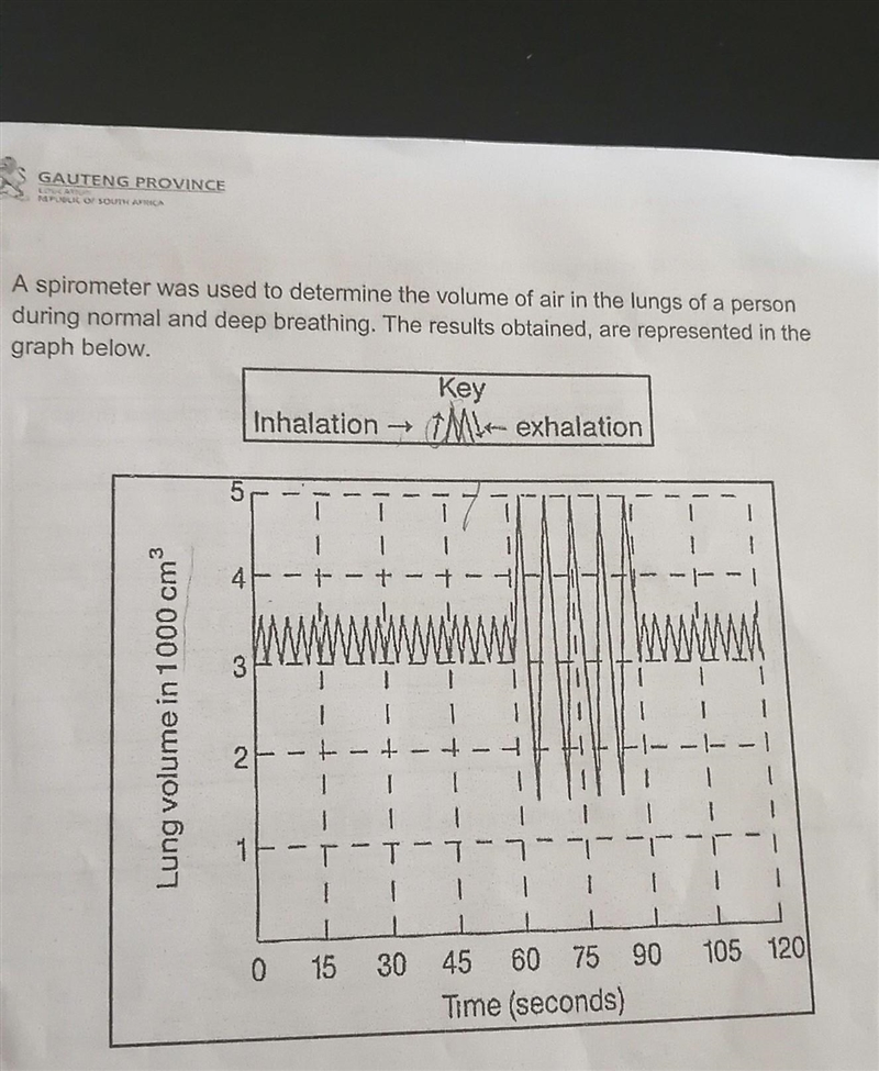 1)what volume of air was breathed out during one normal exhalation 2)how many times-example-1