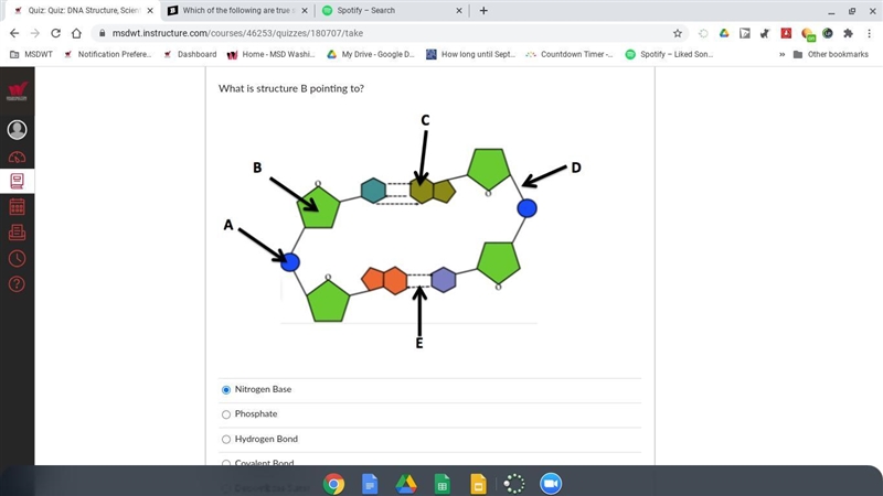 What is structure B pointing to?-example-1