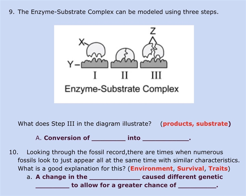 Help in this two questions-example-1