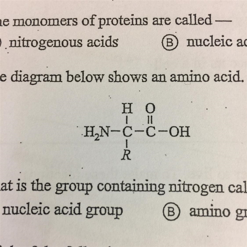 What is the group containing nitrogen called ? A. Nucleic Avis group. B. Amino group-example-1