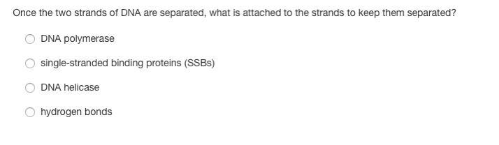 Please help what's the answer-example-1