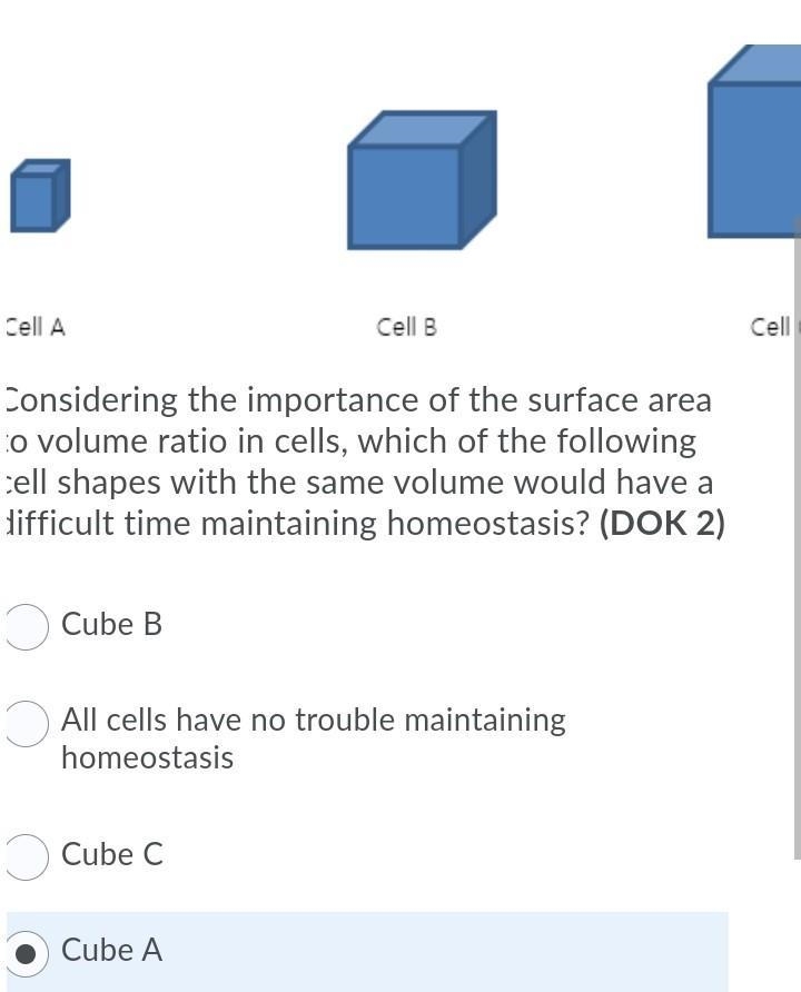 I need help quick i will give extra points​-example-1