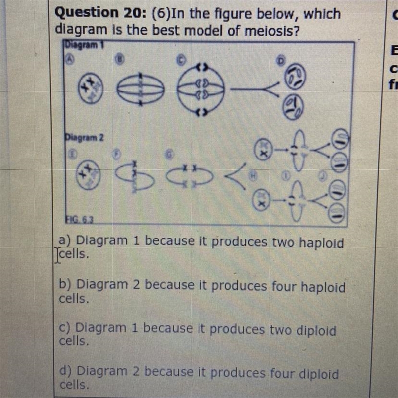 Help me please!!!!! :((-example-1