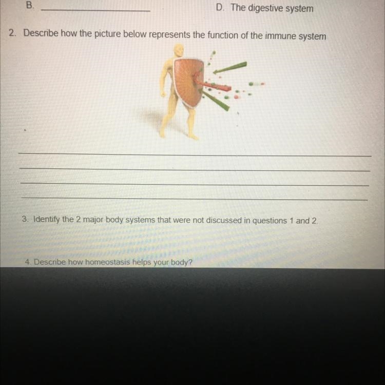 Describe how the picture below represents the function of the immune system-example-1