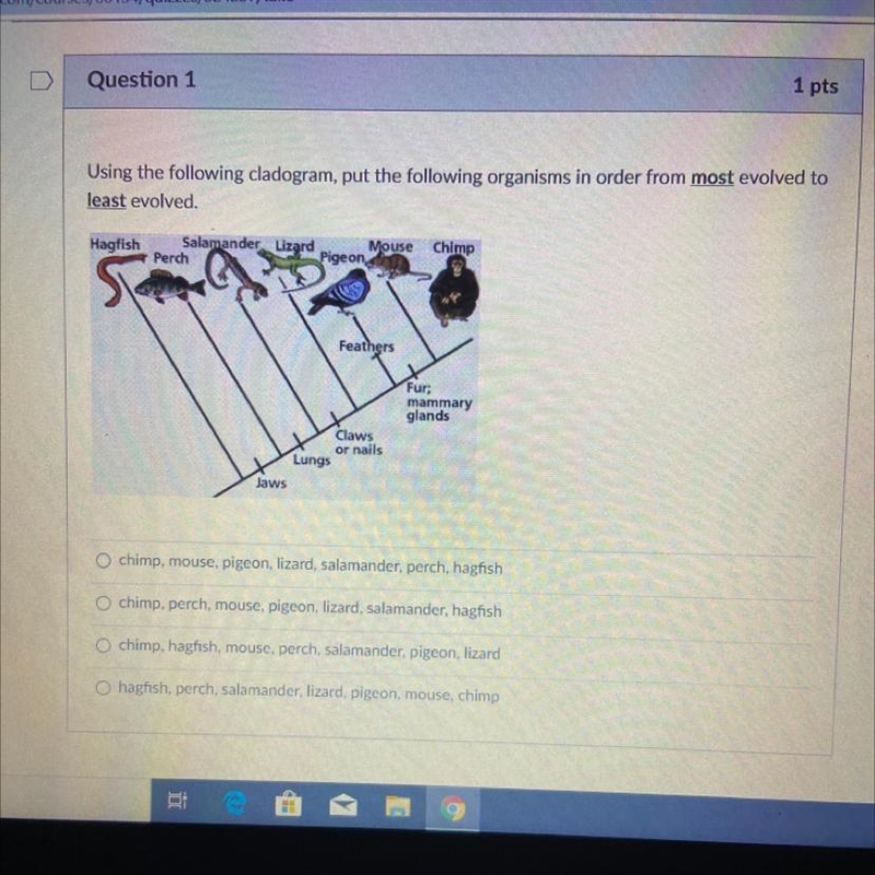 Using the following cladogram, put the following organisms in order from most evolved-example-1