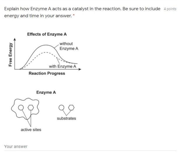 Explain how Enzyme A acts as a catalyst in the reaction. Be sure to include energy-example-1