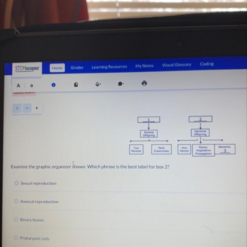 Examine the graphic organizer shown , which phrase is the best lanes for box 2 , HURRY-example-1