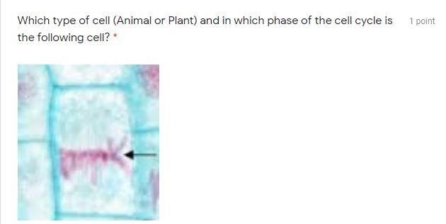 NEED HELP ASAP!!! Animal - Interphase Animal - Prophase Animal - Metaphase Animal-example-1