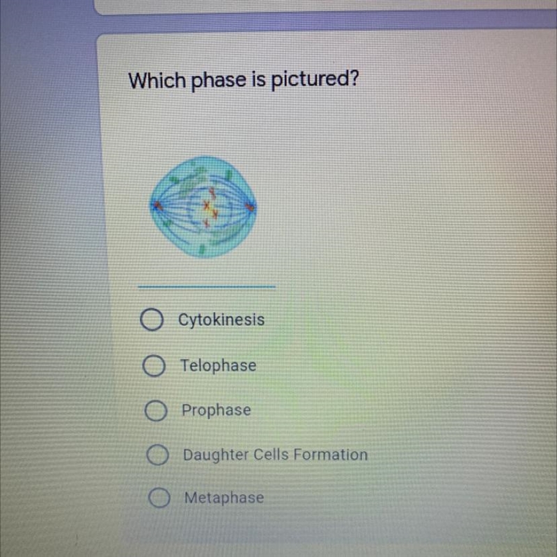 Which phase is pictured?-example-1