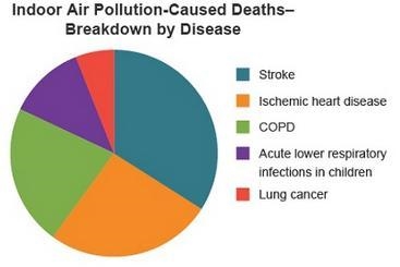 Study the graph about the negative effects of indoor air pollution. What does the-example-1