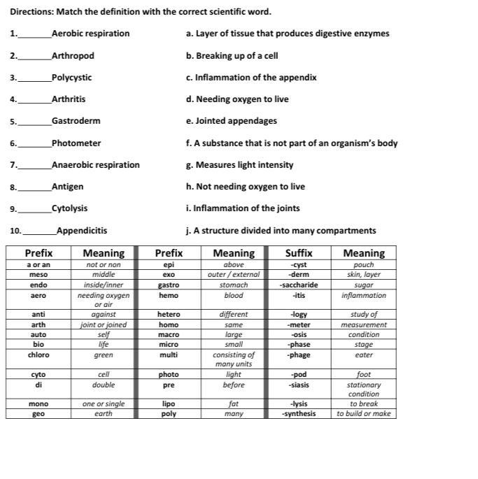 Biogeochemical system-example-1