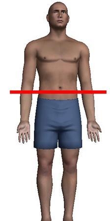 This image shows the body being sectioned along what plane? the answer choices. I-example-1