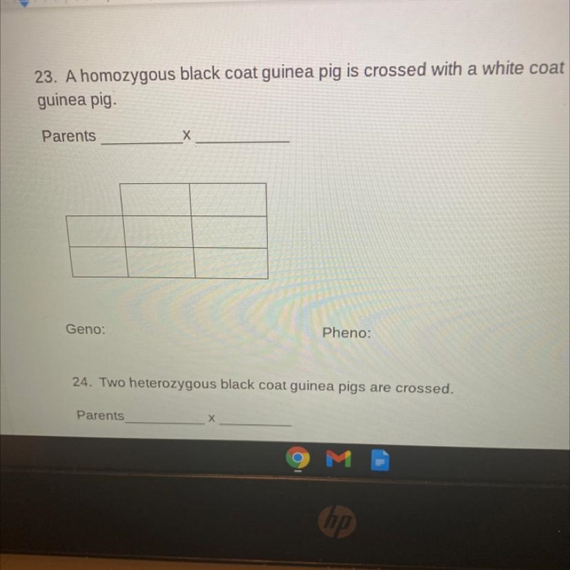 What do I put in the squares?-example-1