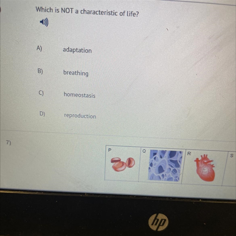 Which is NOT a characteristic of life?-example-1