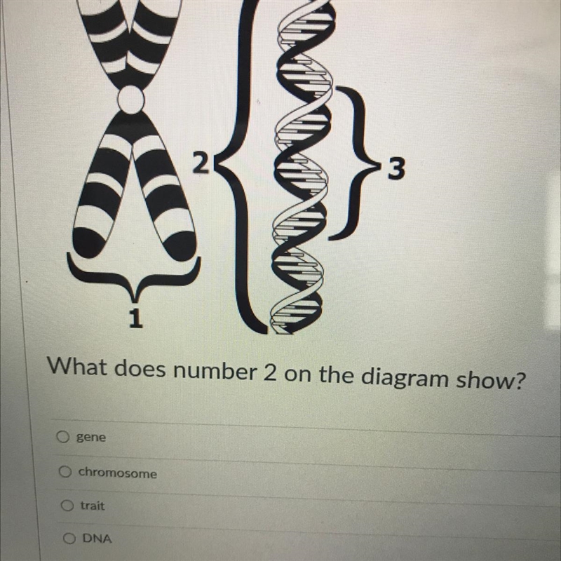 FASTT HURRYYY PLEASEEEE What does number 2 on the diagram show?-example-1