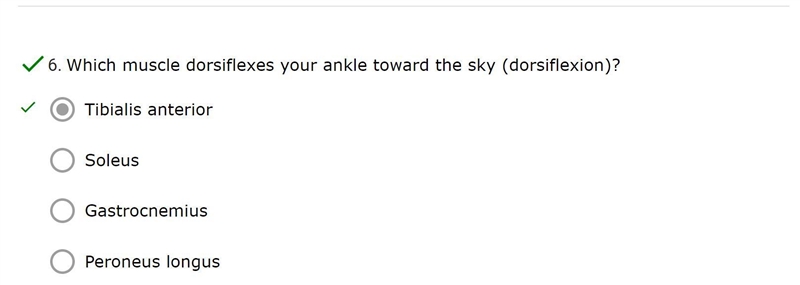 Which muscle dorsiflexes your ankle toward the sky (dorsiflexion)?-example-1