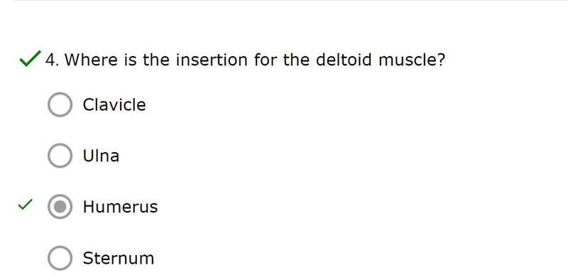 Where is the insertion for the deltoid muscle?-example-1