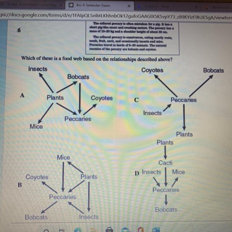 Which of these is a food web based on the relationships described above?-example-1