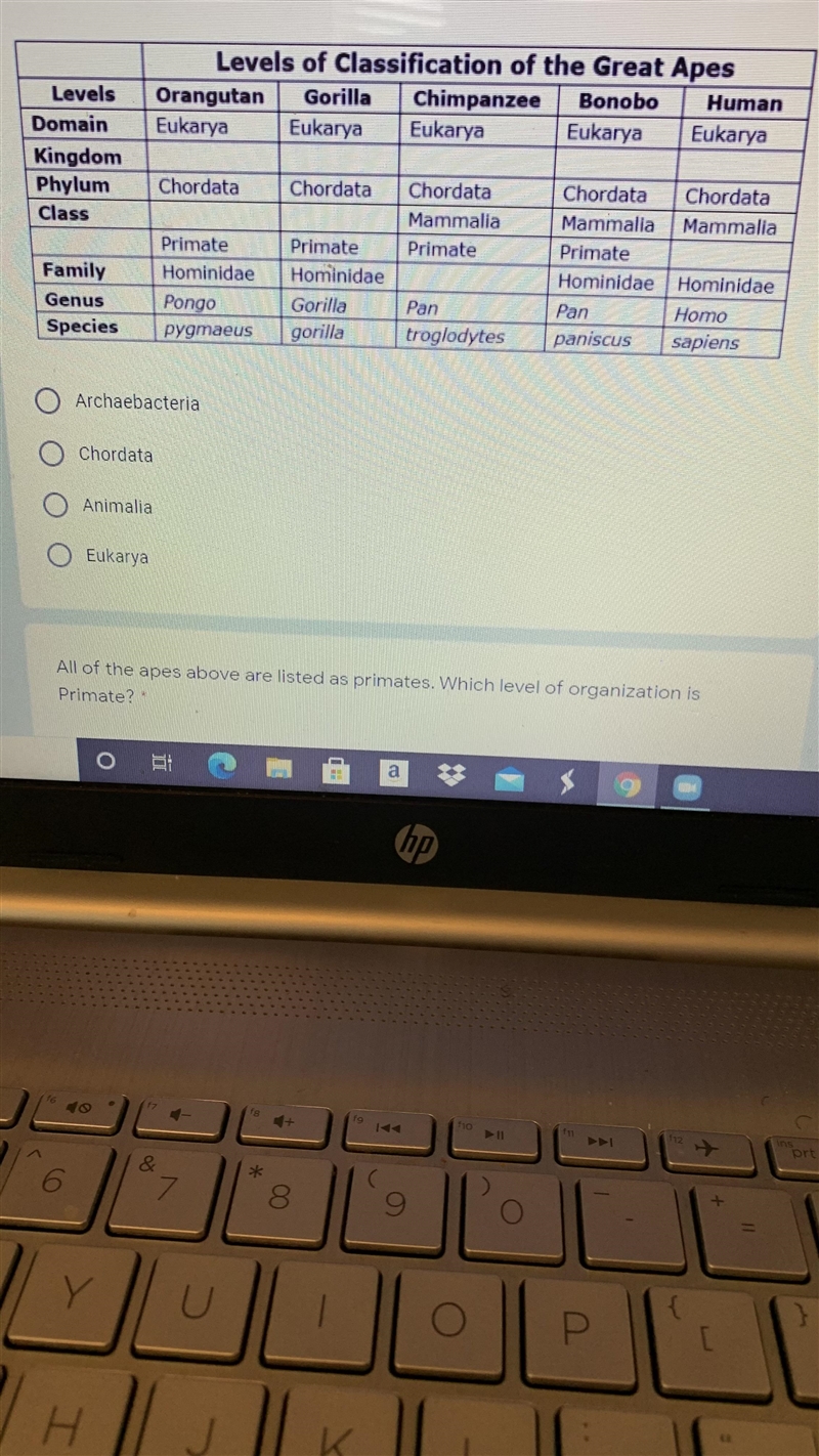 All of the apes above are listed as primates. Which level of organization is Primate-example-1