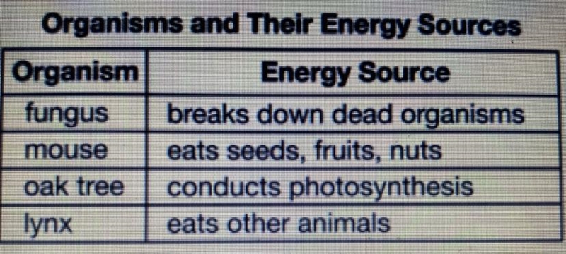 Which trophic level are the organisms correctly displayed? (Picture below for answer-example-2