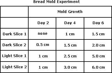 A student hypothesized that bread mold would grow faster in a dark environment than-example-1