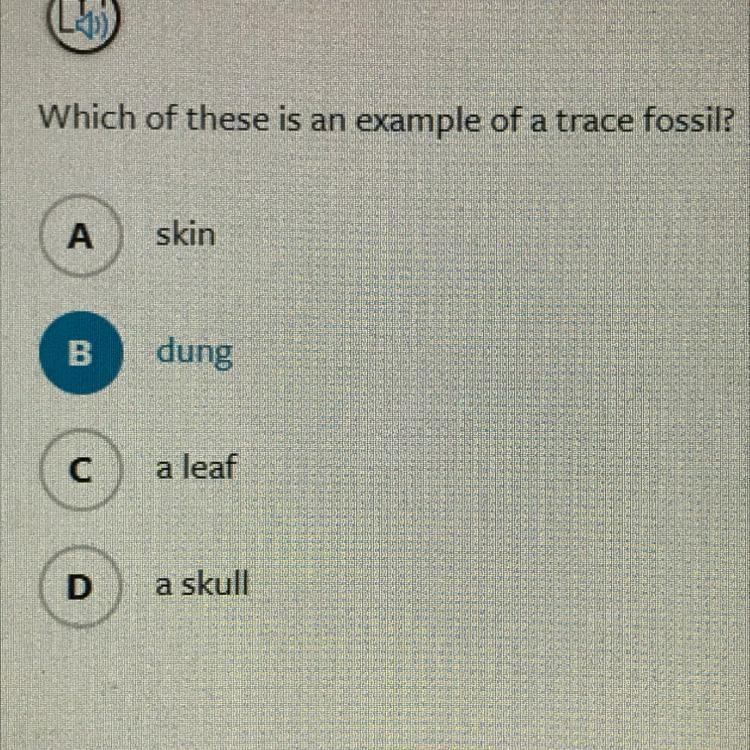 Which of these is an example of a trace fossil? A skin B dung С a leaf D a skull-example-1