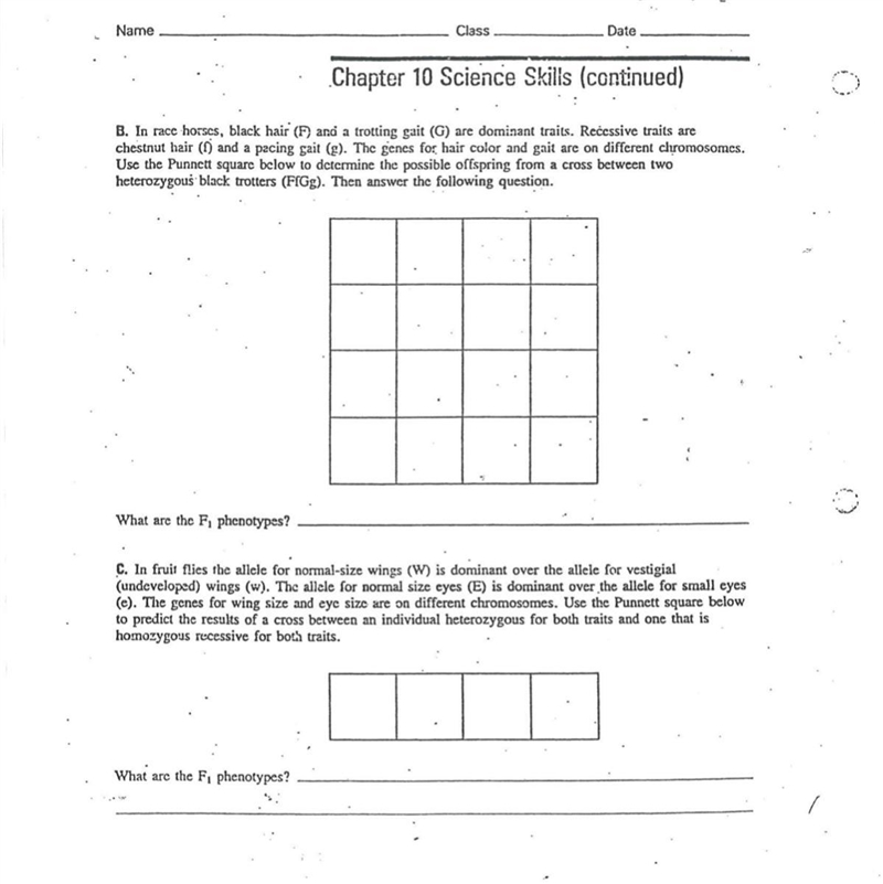 If anybody knows how to do punnet squares please help me with this-example-1