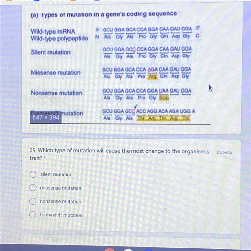 Please help,, which type of mutation will cause the most change to the organisms trait-example-1