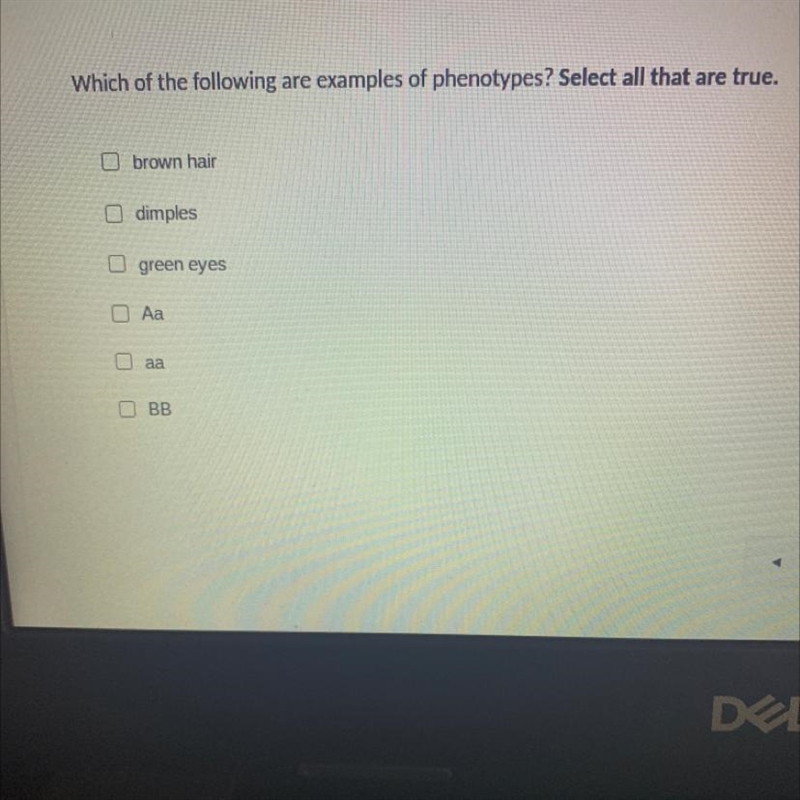 Help please//what’s a phenotype?? thank you. NO LINKS PLS-example-1