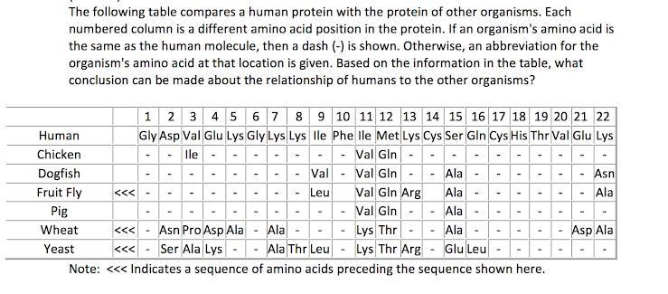 Which organism shares an ancestor to humans the farthest back on the evolutionary-example-1