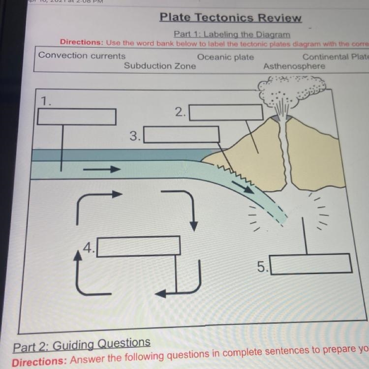 Please help me?? I need help labeling the graph using the word bank-example-1