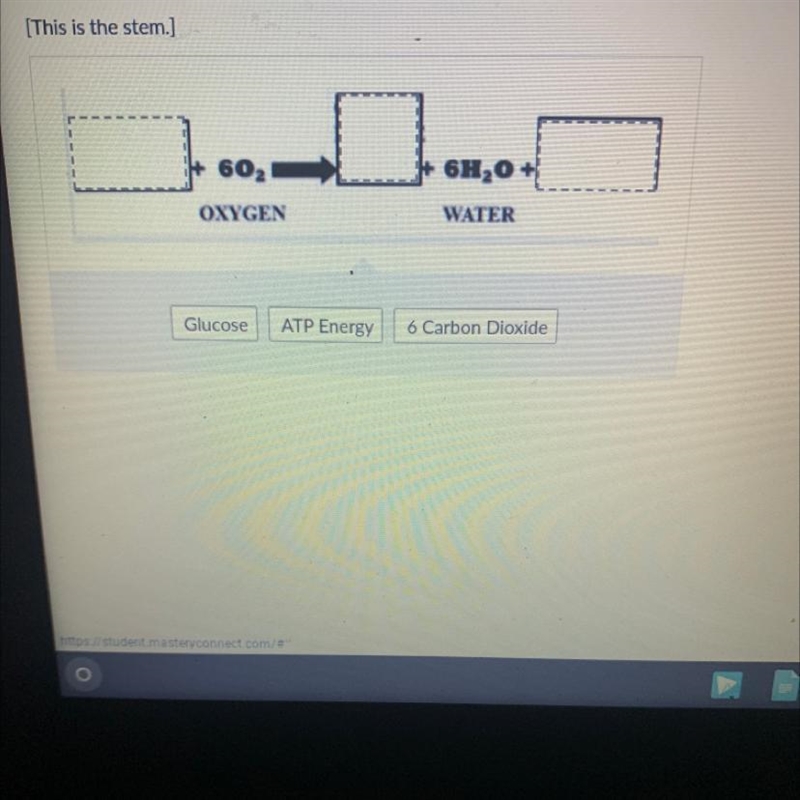 [This is the stem.] 602 6H20 + OXYGEN WATER Glucose ATP Energy 6 Carbon Dioxide-example-1