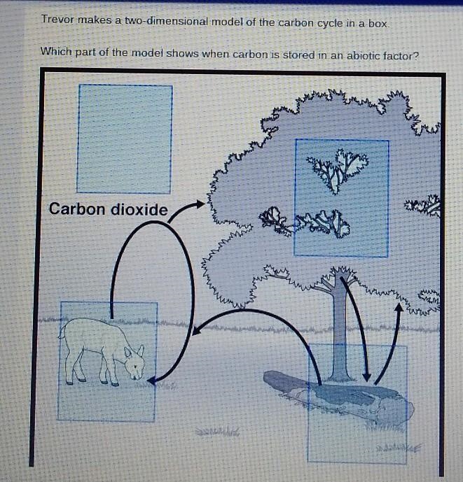 Question in photo pls tell me which ever blue box is the Answer help pls :( Zoom in-example-1